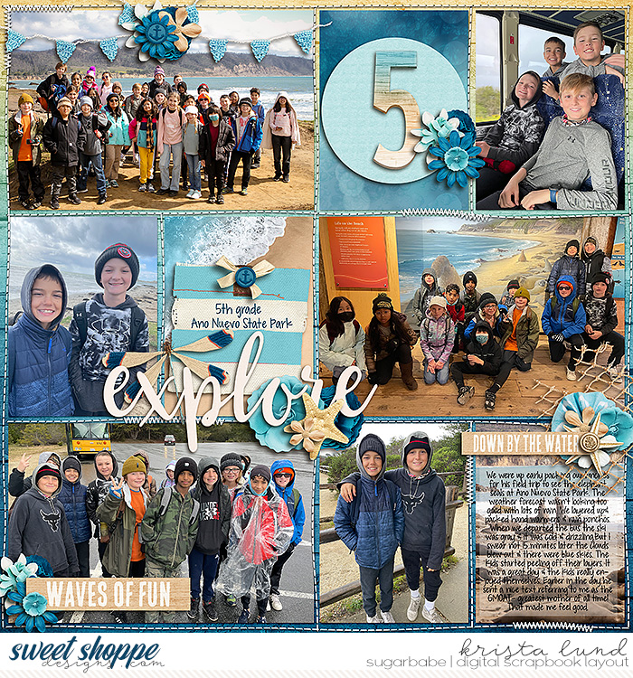 2023 Ano Nuevo Field Trip