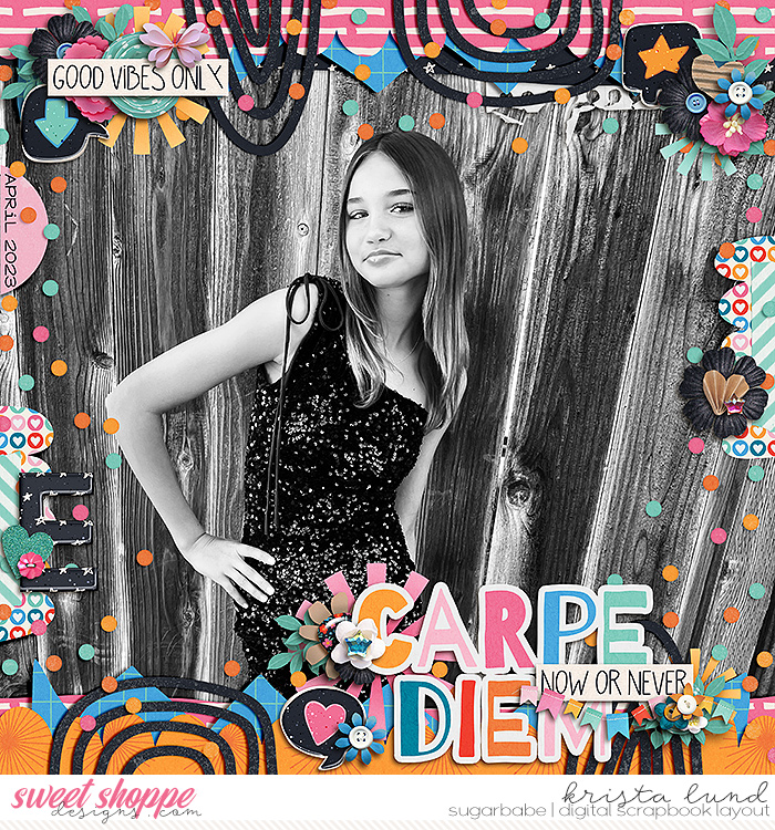 2023 Carpe DiEM