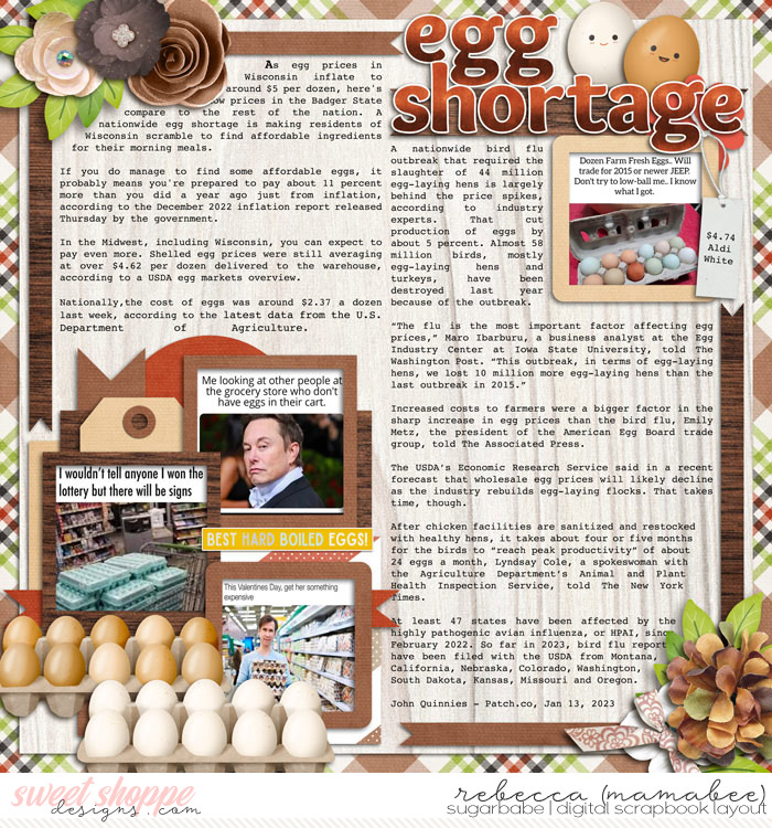 2023 Egg Shortage
