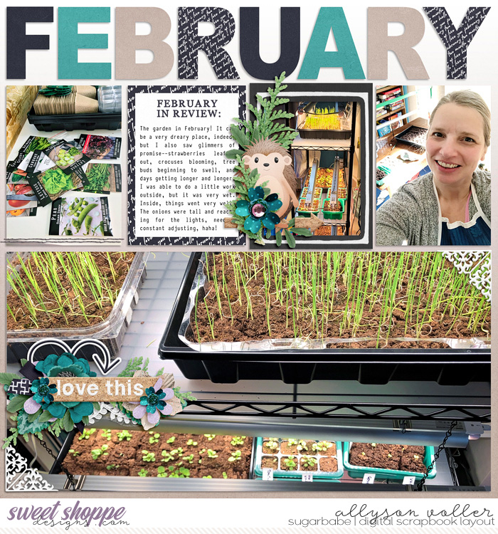 2023 Feb Garden notes left