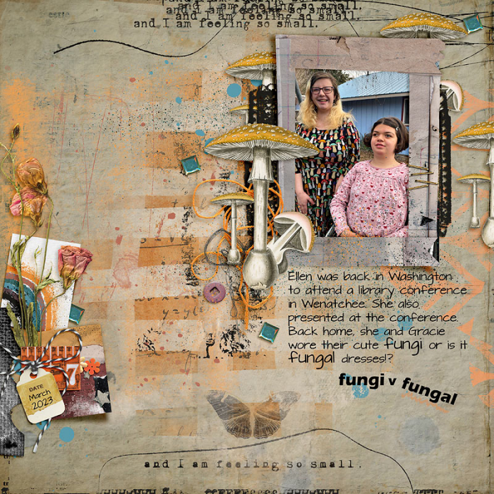 2023-FunGi-v-funGal