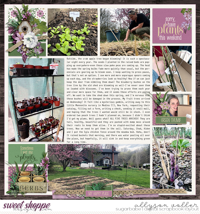2023 Garden notes week 16 right