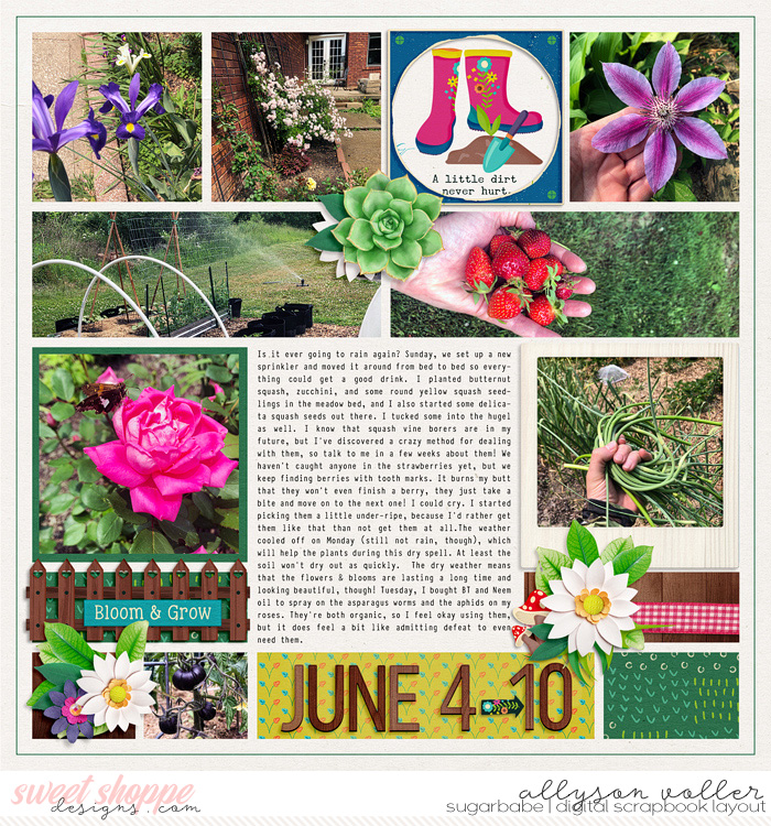 2023 Garden notes week 23 left