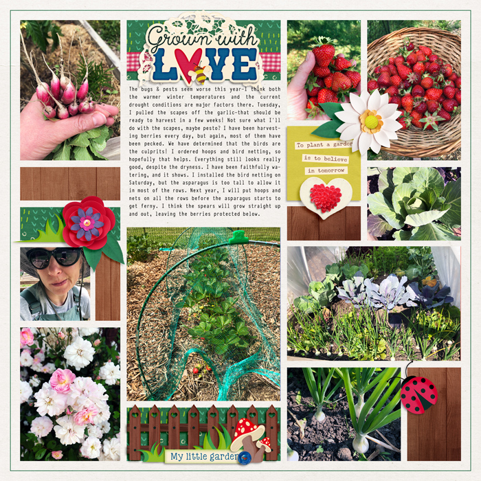 2023 Garden notes week 23 right