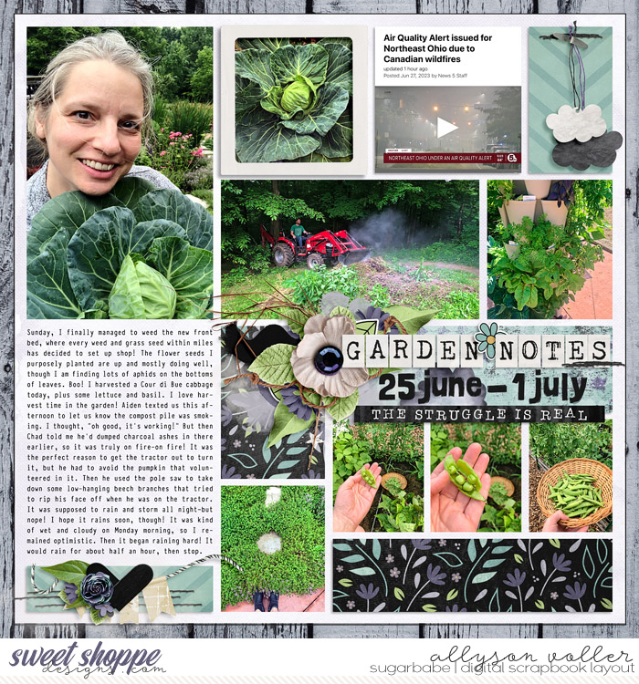 2023 garden notes week 26 left