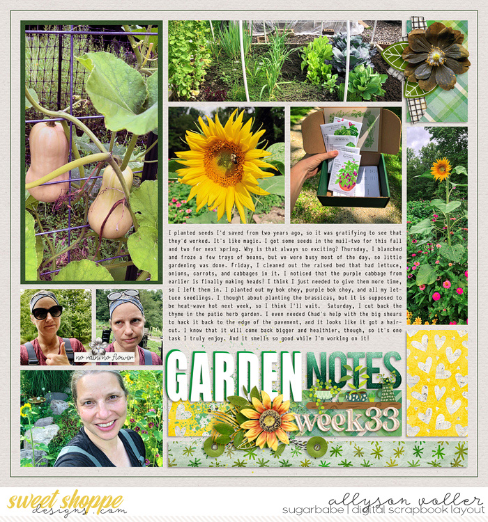 2023 garden notes week 33 right