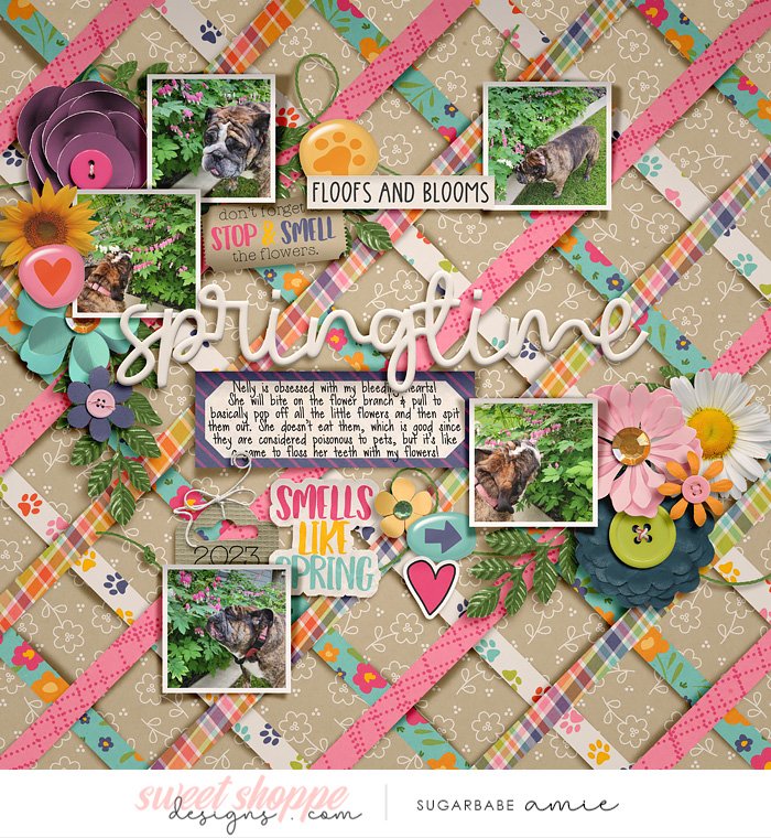 2023_5_Springtime-babe.jpg