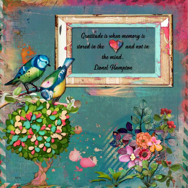 2024 11 Gratitude Quote