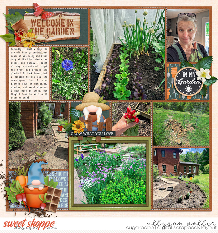 2024 19 week garden notes 02