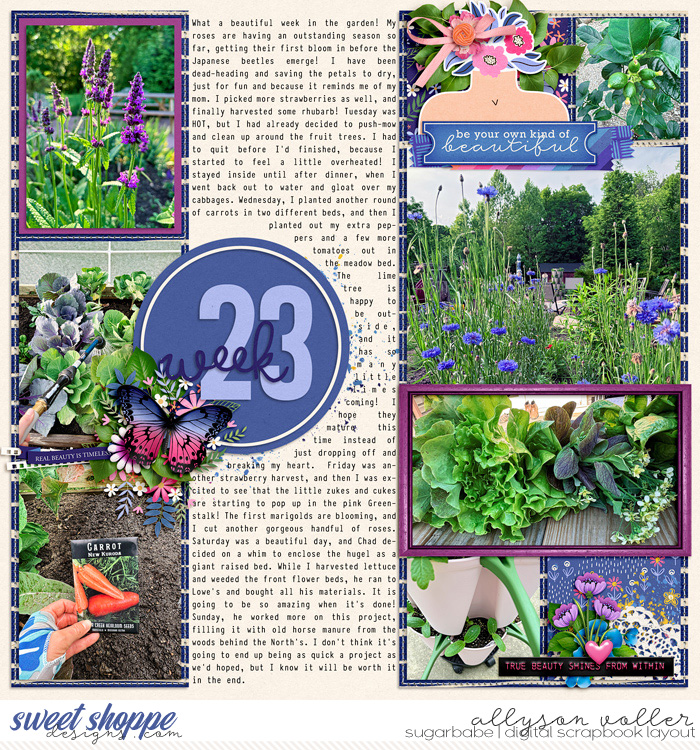 2024 23 week garden notes 01