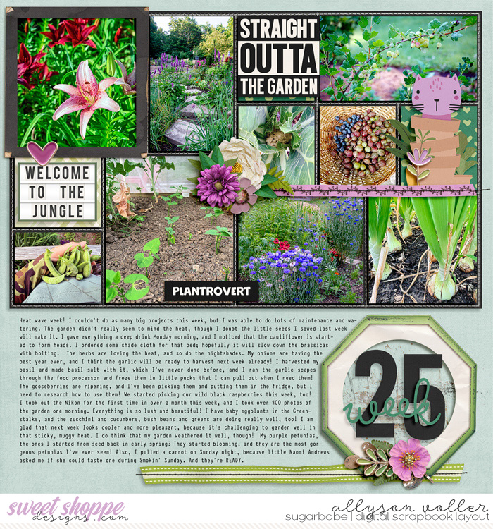2024 25 week garden notes 01
