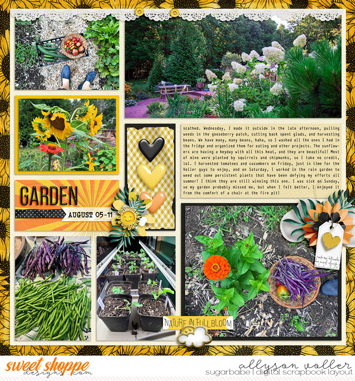 2024 32 week garden notes 02