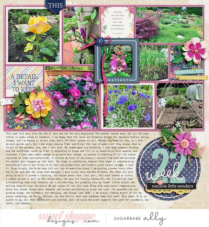 2024 Garden notes, week 22 left