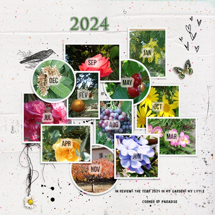 2024 in mynGarden