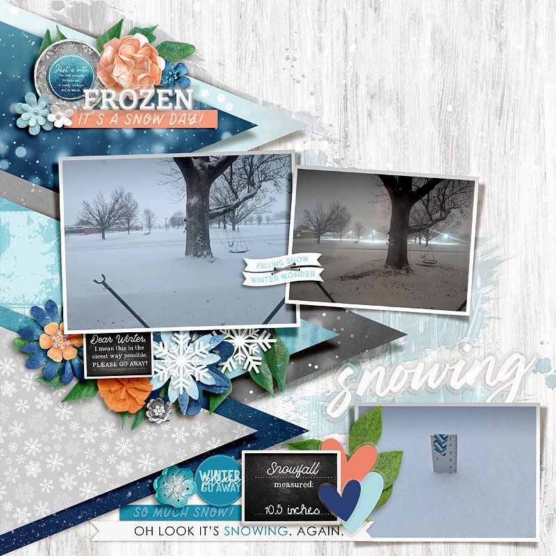 2025 01 SnowDay