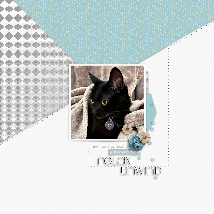2025 06 SWR 3 Altered Template Challenge