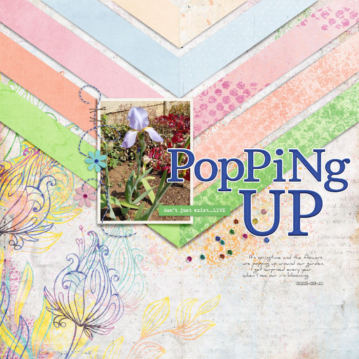 2025-09-21_PoppingUp