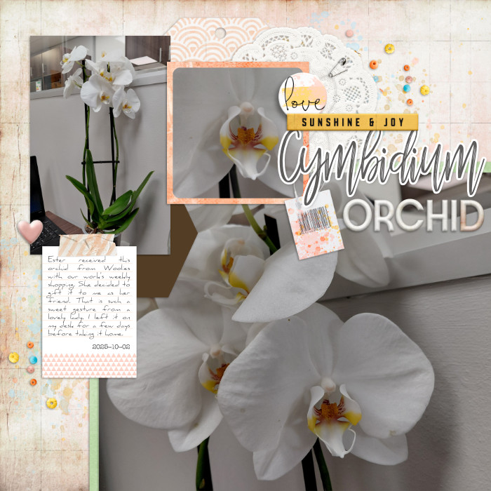 2025-10-02_Orchid