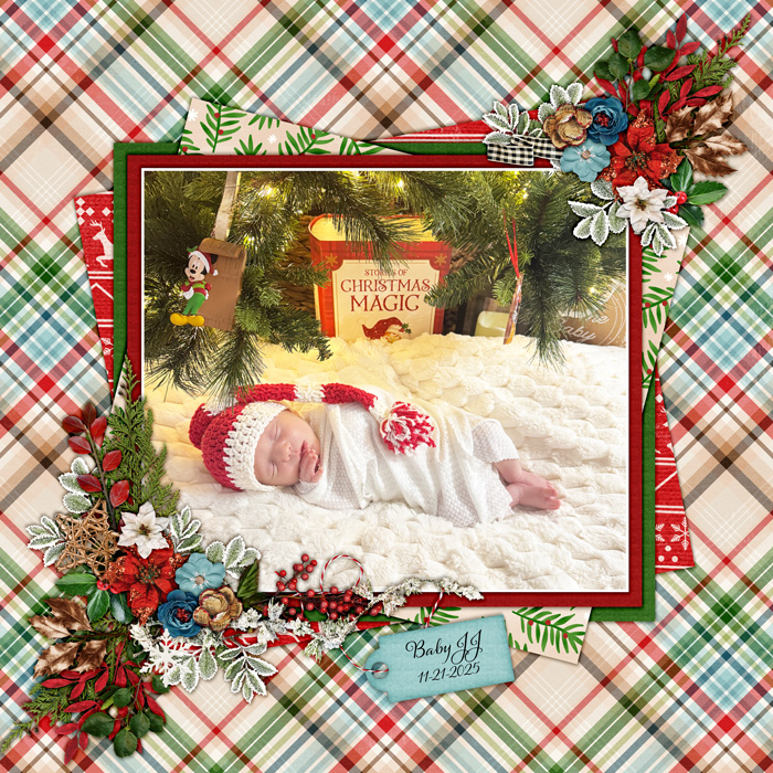2025-11-21-JJtree-dsi-hm-woodlandwonder