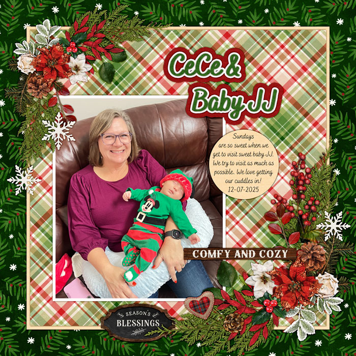 2025-12-07-CeCeJJ-dsi-hm-woodlandwonder