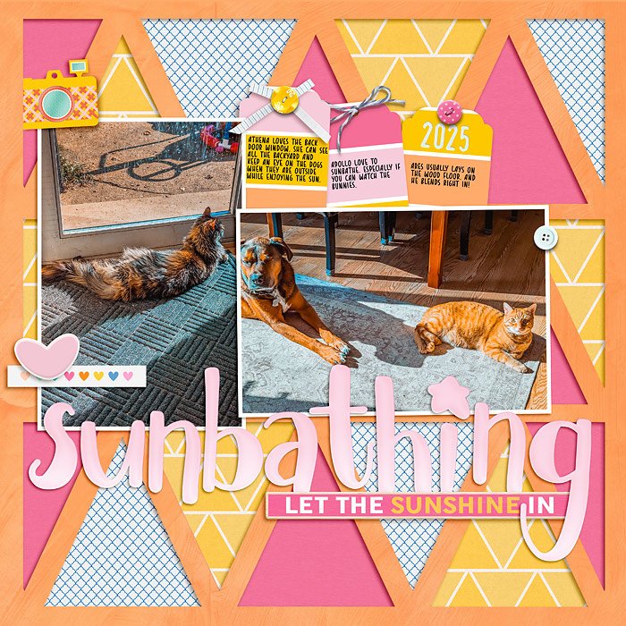 2025-Animals-Sunbathing-copy.jpg