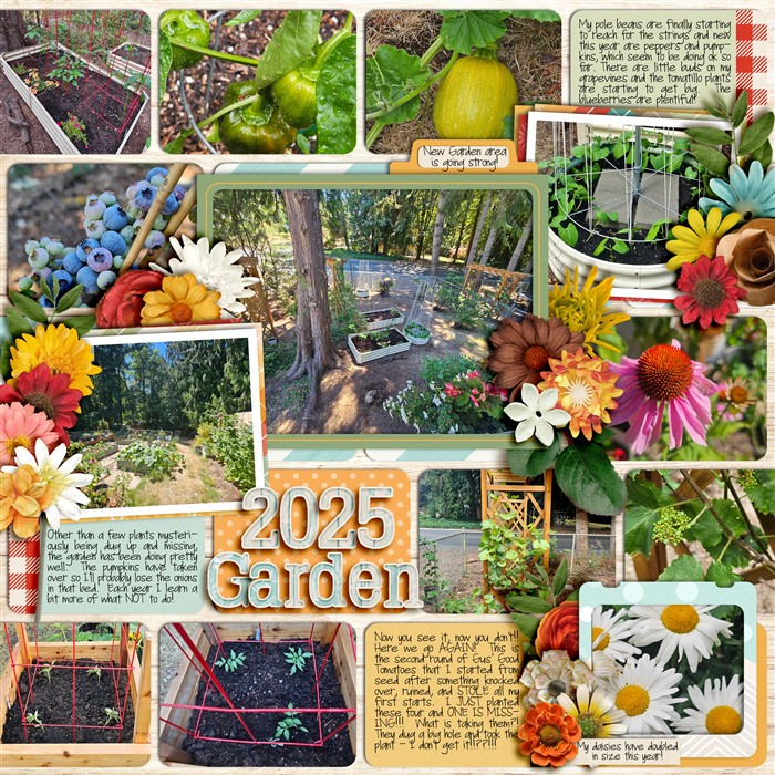 2025 Garden (progress)