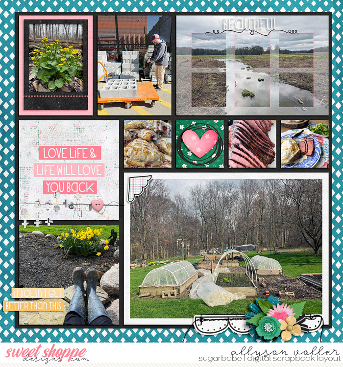 2025 PL 15 week 02