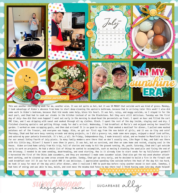 2025 Project Life week 27 left