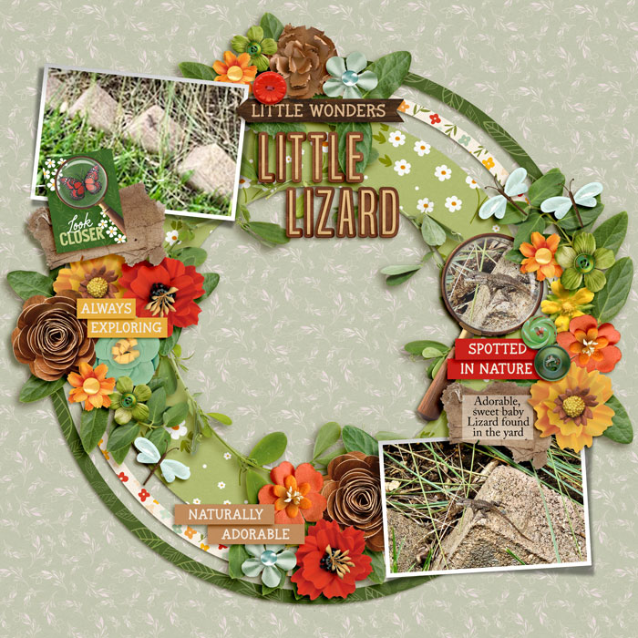 2025 Summer Shadowbox Aug 10 Opt 1