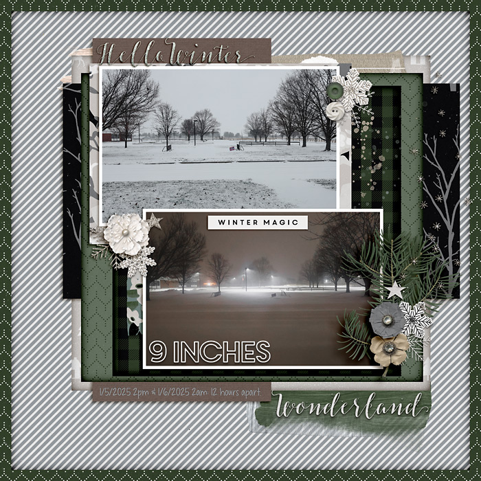 2025 Winter Snow Storm