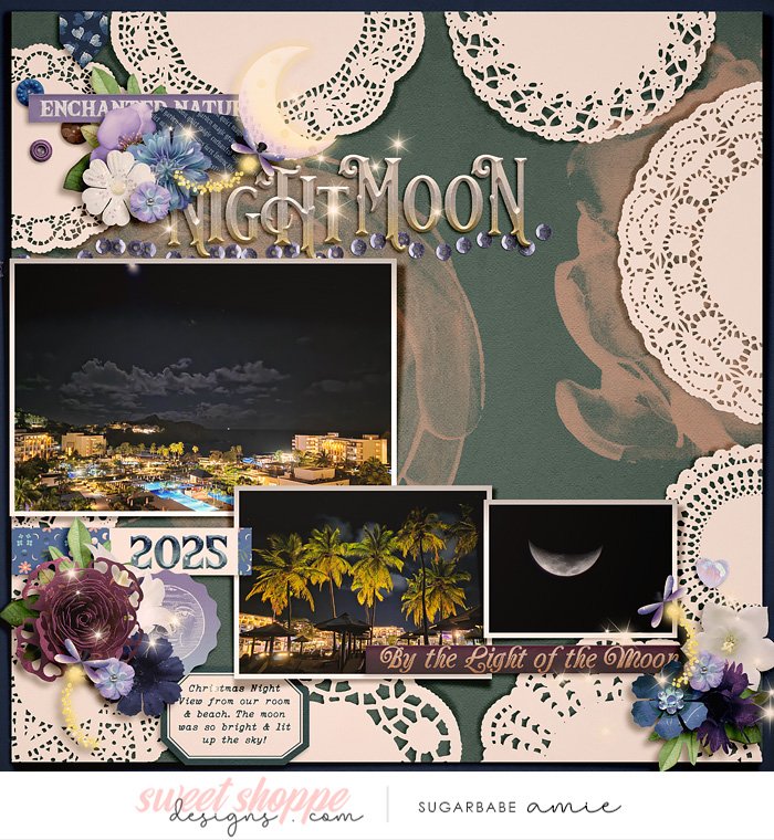 2025_12_Night Moon-babe.jpg