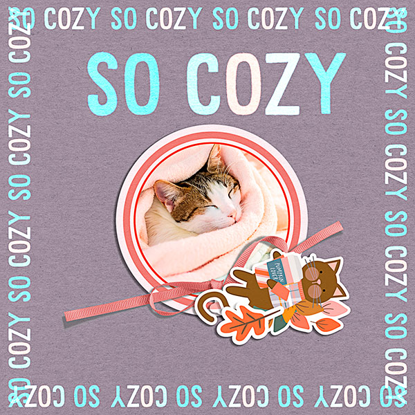 2025_So cozy_13a