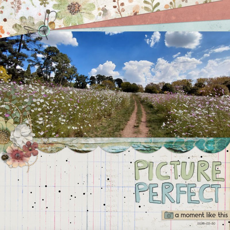 2026-03-30_PicturePerfect