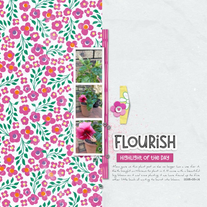 2026-05-14_Flourish