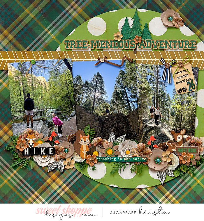 2026_05-MirrorLakeYosemite2.jpg