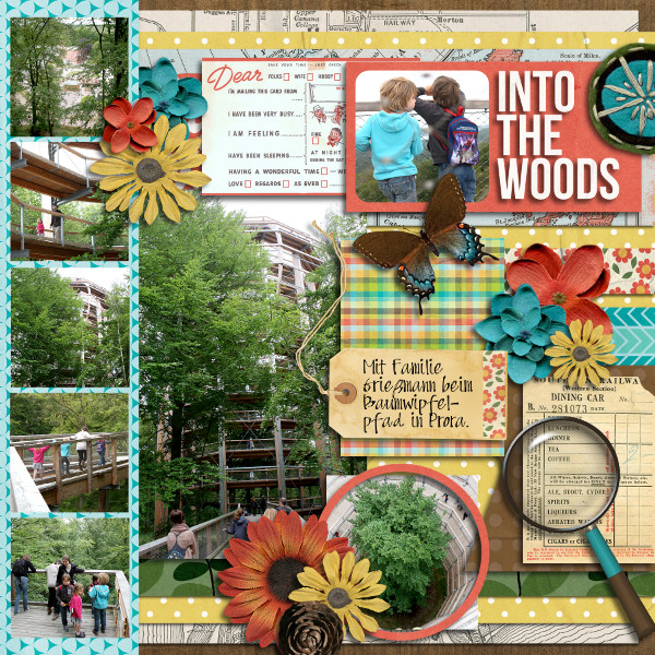 #23 Into The Woods