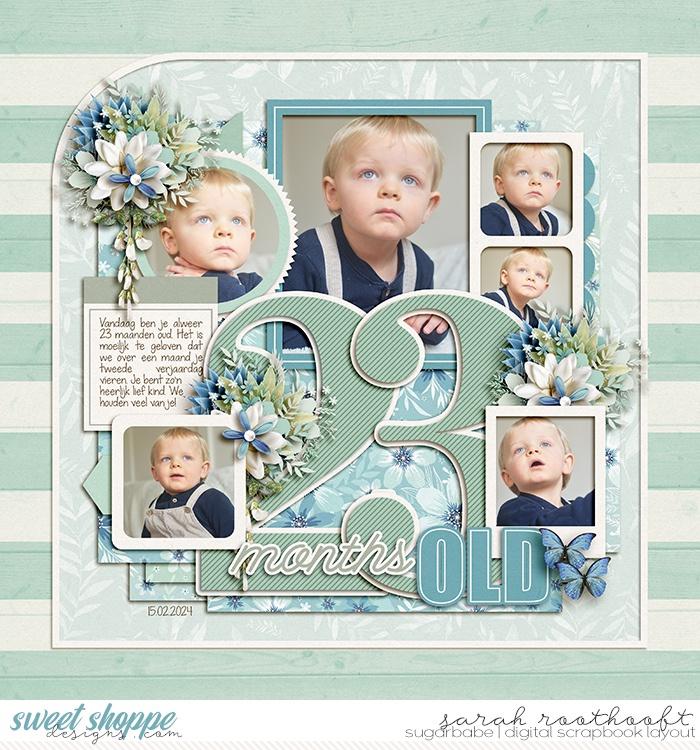 23 months old