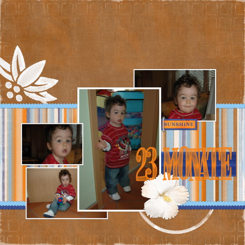 23 Months