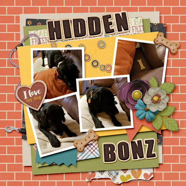 2A_Hidden Bonz