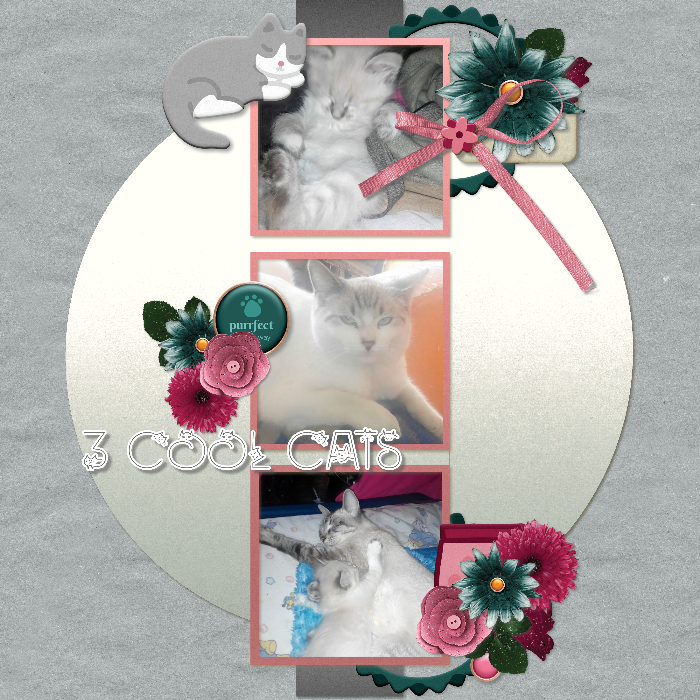 3 cool cats
