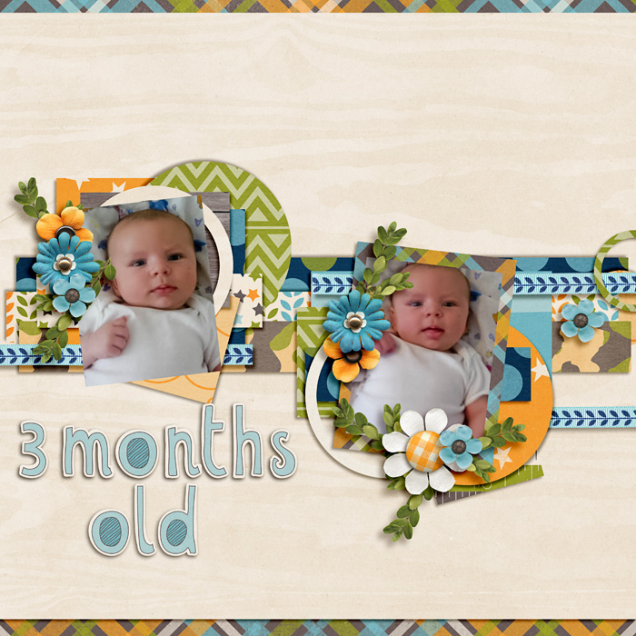 3 Months Old
