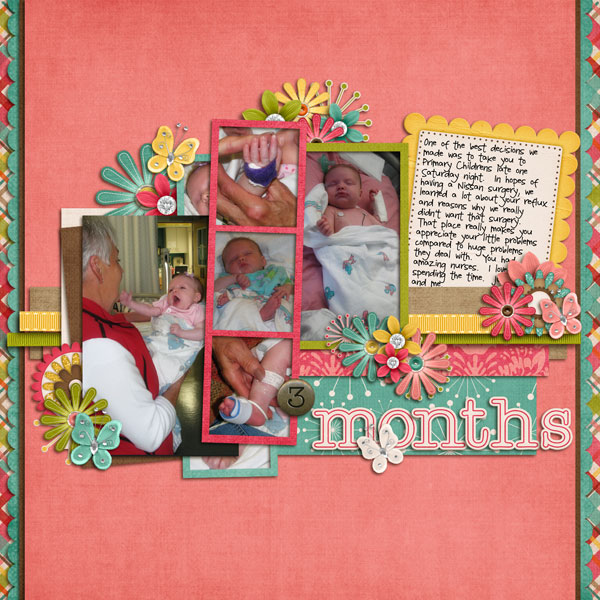3 Months