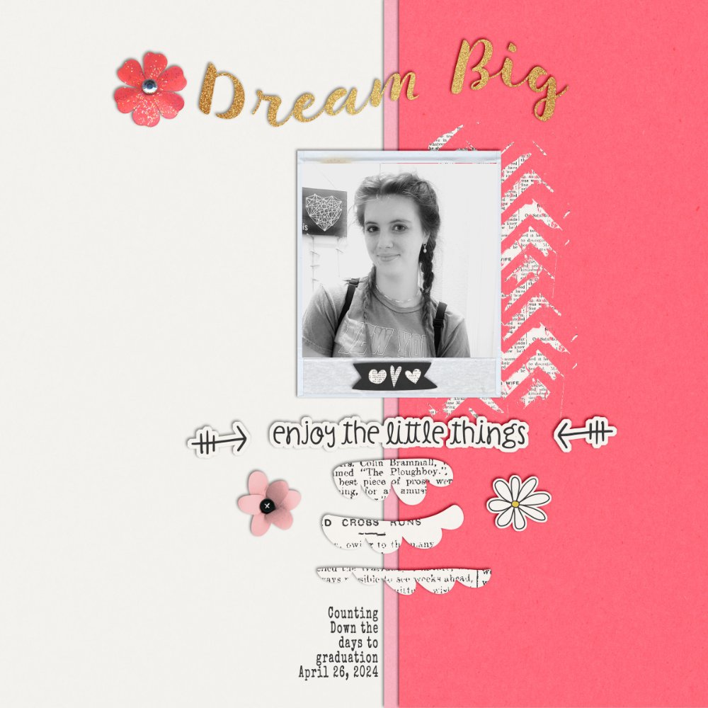 4 46 24 Dream Big
