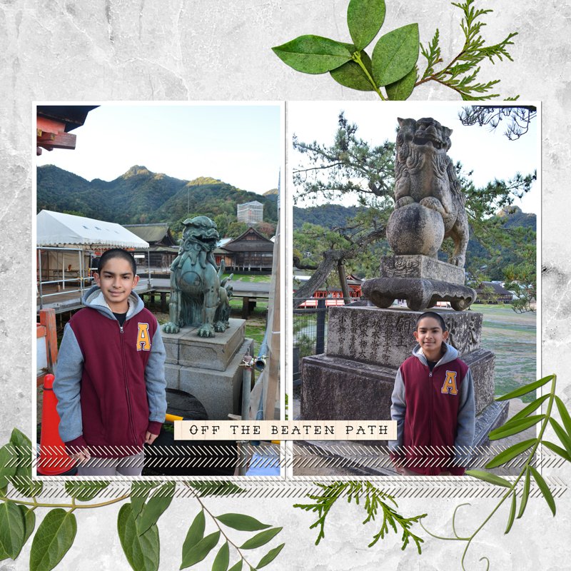 4-Adventure---Variety-of-Greenery.jpg