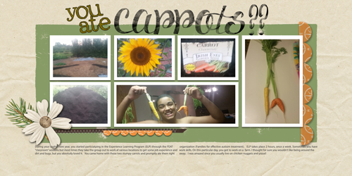 #4 Carrots (dbl page)