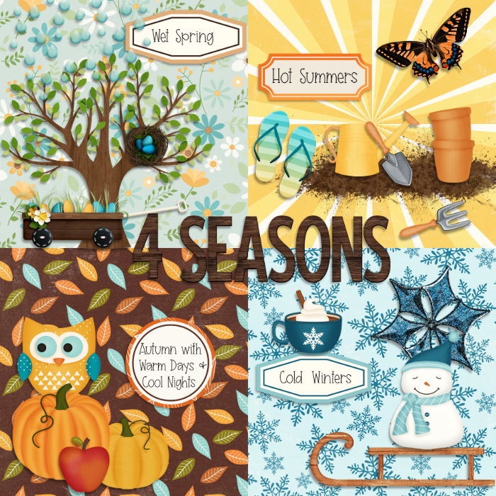 4 Seasons