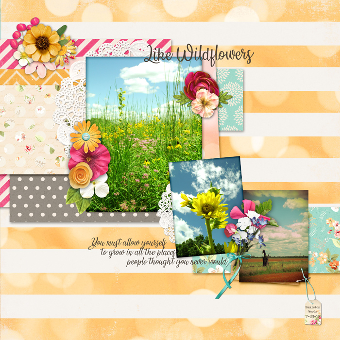 #4 - Wildflowers