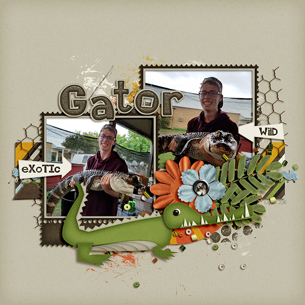 #5 Animal Encounters - Gator