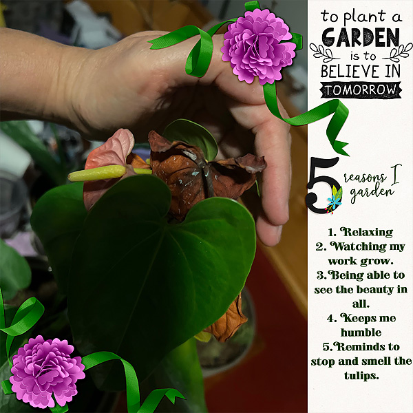 5 Reasons I Garden
