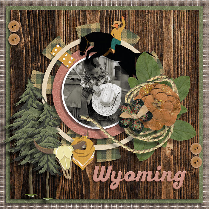 50 States: Wyoming